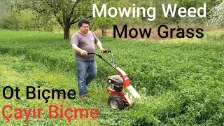 Çayır Biçme Makinesi ile Çayır Biçelim! ''Ot Biçme'' (Mow Grass)