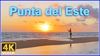 【4K】WALK PUNTA del ESTE 2021 Uruguay 4k video Pinares Beach