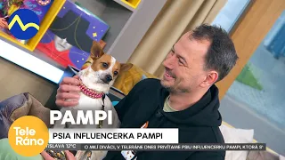 PAMPI - psia influencerka | Teleráno