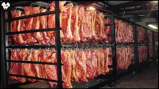 How Farmers Raise Organic Pigs - A Factory That Produces Bacon