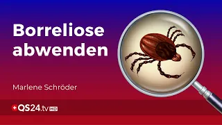 Zeckenstich: So vermeiden Sie die Borreliose | @QS24