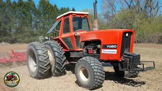 Allis Chalmers 7080 Tractor Spring Tillage