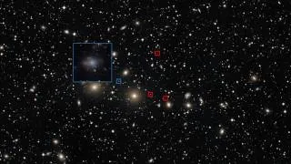Zoom into Perseus Cluster Dwarf Galaxies [HD]