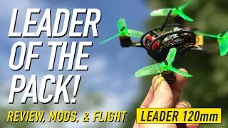 LEADER 120 - LEADER of the PACK! - Mods, Review & Flight