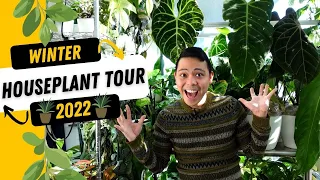 HOUSEPLANT TOUR WINTER 2022 💚| PART 1| Philodendron, Monstera, Syngonium, Hoya, Anthurium, & MORE 😍