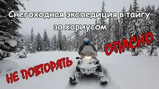 В тайгу, за хариусом, на снегоходе - конечно поеду/Зимняя экспедиция на Алтай/100км по льду р Катунь