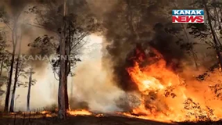 Special Report: Australia Forest Catches Massive Fire, 'It's Like Fireball Exploding In The Air'