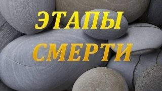 Этапы смерти. Терминальные состояния