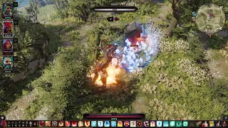 Divinity Original Sin 2 Driftwood - Phoenix Egg