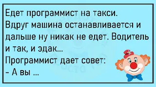 🔥У Кинолога Родилась Тройня...Большой Сборник Весёлых Анекдотов,Для Супер Настроения!