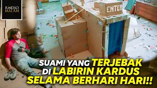 TERJEBAK DI LABIRIN KARDUS BUATANNYA SENDIRI - Alur Film Dave Made A Maze (2017)