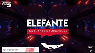 NK  Настя Каменских Elefante