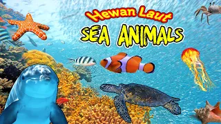 Sea Animals : Shark, Starfish, Frog, Dolphin - Hewan Laut : Penyu, Ikan, Hiu, Katak