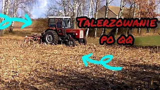 Polska Moc ☆ Talerzowanie po kukurydzy w 2021 ☆ Ursus c-360 i Famarol Słupsk 1.8m