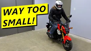 7 Reasons Why The Grom IS NOT a Beginner Bike!