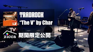 【期間限定公開】TRADROCK TV「"The V" by Char」