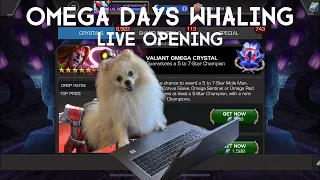 OMEGA DAYS WHALING - LIVE OPENING