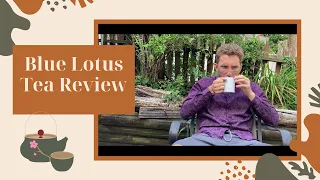 BLUE LOTUS TEA REVIEW