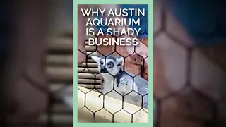 Lemur Forced to Interact with Children at Austin Aquarium