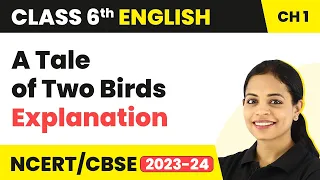 Class 6 English Chapter 1 Explanation | Class 6 English A Tale of Two Birds | Class 6 English