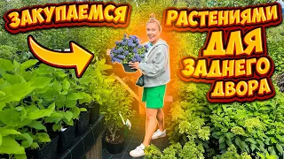 ЗАКУПАЕМСЯ РАСТЕНИЯМИ ДЛЯ ЗАДНЕГО ДВОРА! ЛЕТНИЙ ШОППИНГ!