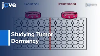 Studying Tumor Dormancy & Switch To Metastatic Growth l Protocol Preview