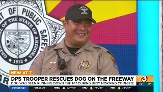 WATCH: Trooper speaks about saving dog on Phoenix freeway