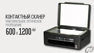 Epson Expression Home XP-103: еще одно недорогое МФУ для дома