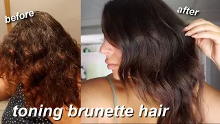 HOW I REMOVE BRASSY RED TONES FROM MY HAIR WHILE STILL KEEPING DIMENSION | TONING MY HAIR AT HOME