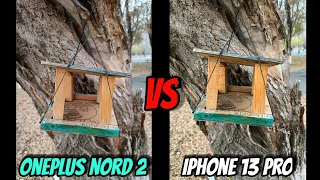 А ВДРУГ? Oneplus Nord 2 vs IPhone 13 Pro | Тест камер