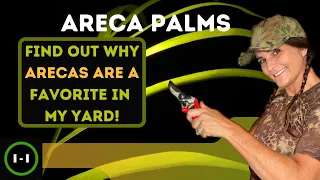 Areca Palm |Plants on Purpose| How to grow, trim, avoid disease, the history, fun facts & placement.