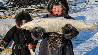 Как ловят рыбу Коренные Народы. Сети, невод, удочка. Секреты Ненцев Ямала и Крайнего Севера | Факты