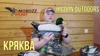 Обзор линейки чучел кряквы фирмы Higdon Outdoors