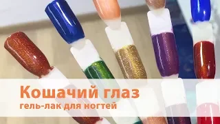 Гель-лак для ногтей "Кошачий глаз" Global Fashion