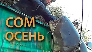 Осенняя подводная охота на трофейного сома и судака. Лучшие моменты прошлого сезона.