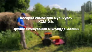 Косарка самохідна мульчувач КСМ-0,6. Зручне скошування міжряддя малини