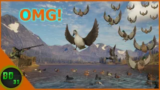 I've Never Seen So Many DUCKS!! Call Of The Wild