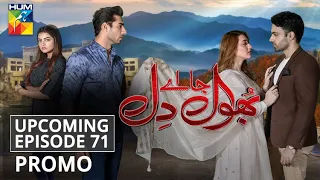 Bhool Jaa Ay Dil | Upcoming Episode 71 | Promo | HUM TV | Drama