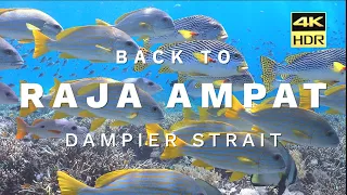 Back to Raja Ampat | Dampier Strait | Indonesia | 4K HDR | 2022