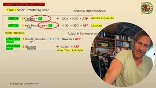 Abitur 2024 Sport Theorie im Schnelldurchlauf:  alle Basics in 50 Minuten -  Notfallprogramm!