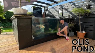 OLIS 1000 GALLON KOI POND UPDATE