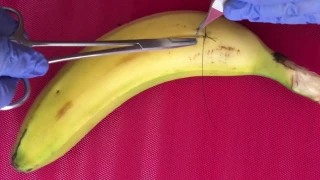 Sutures on Banana