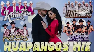 Los Alamenos, La Kumbre Con K, Los Avila, Grupo Legitimo, Conjunto Nube - Huapangos Mix 2024