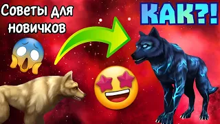 СОВЕТЫ ДЛЯ НОВИЧКОВ/КАК ИГРАТЬ В Wolf Tales