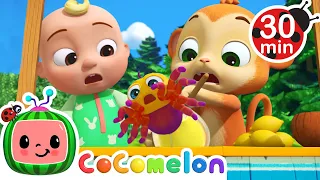 Itsy Bitsy Spider + More Classic Nursery Rhymes |  Cocomelon Animal Time Songs