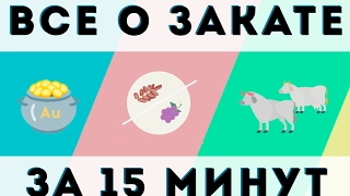 Обязательный «закат»: категории и условия обложения. Инфографика