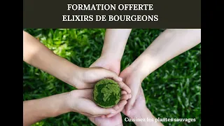 Prépare tes Elixirs ( formation offerte )