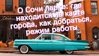 О Сочи парке: где находится на карте города, как добраться, режим работы