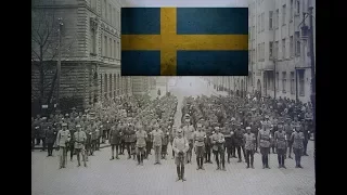 Sisällissota 1918 - Ruotsi ja Suomen sisällissota