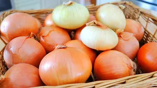 5 Ways to Store Onions for Long Term (Weeks, Months, or 1 Year) 🧅 by CiCi Li